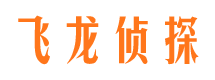 桦甸侦探公司